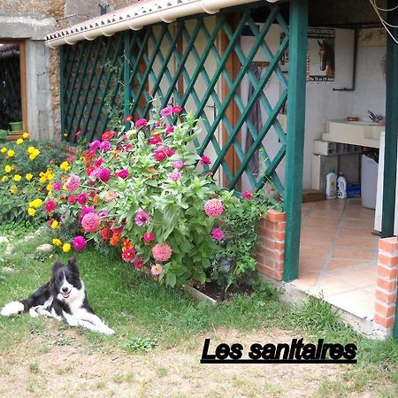 Ferme Equestre Les Chevaliers Hotel Penol Bagian luar foto