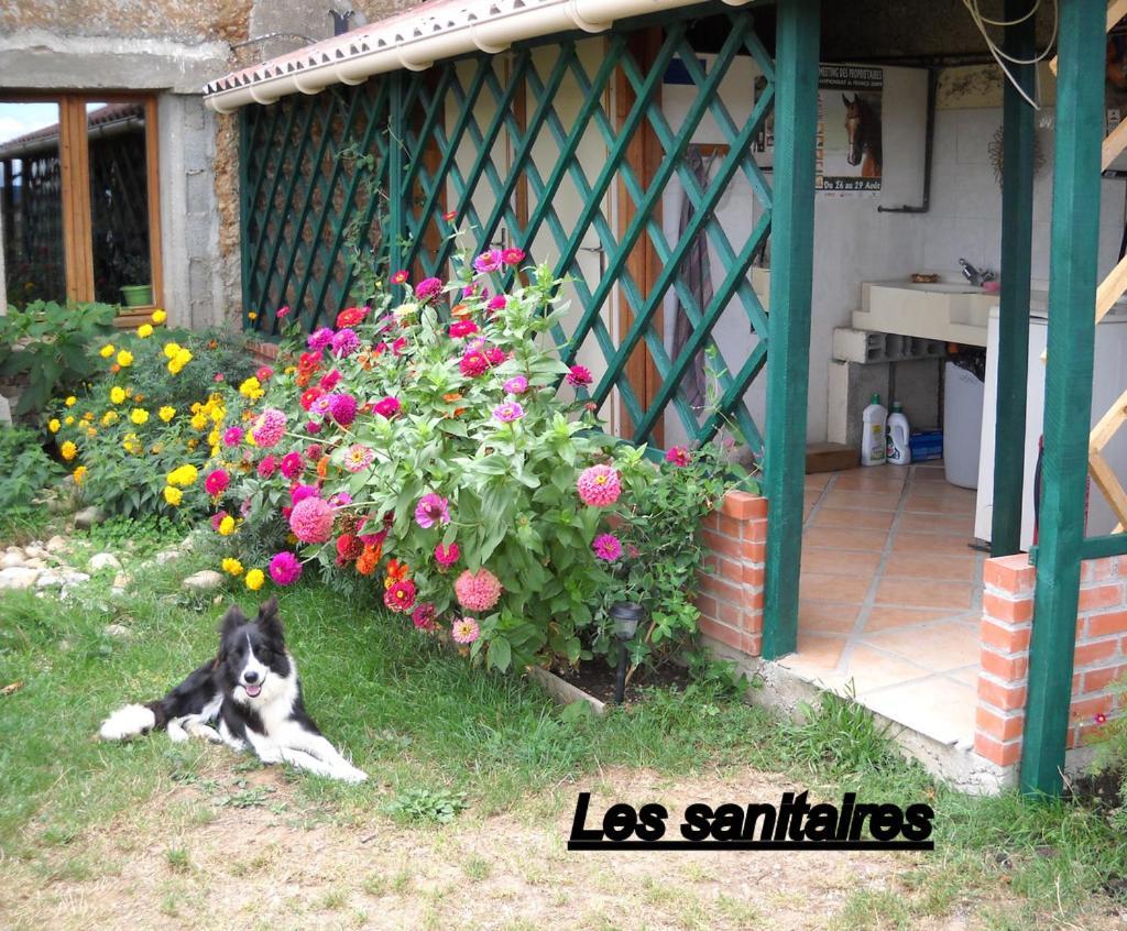 Ferme Equestre Les Chevaliers Hotel Penol Bagian luar foto