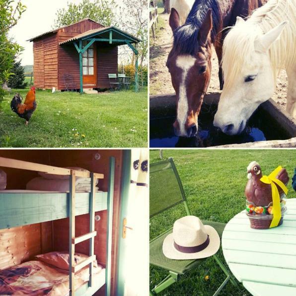 Ferme Equestre Les Chevaliers Hotel Penol Bagian luar foto